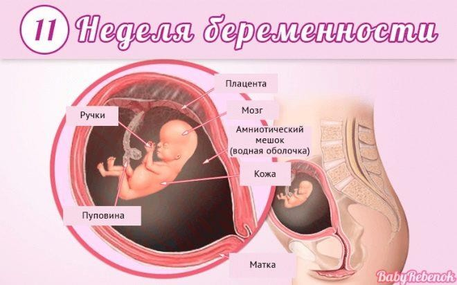 Секс во время беременности — это не опасно?