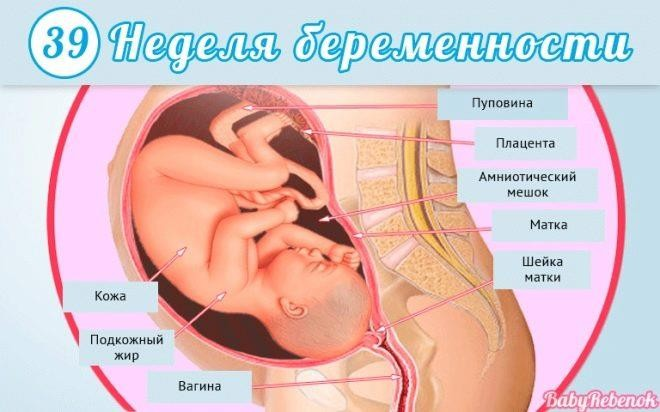 Оргазм на 34 неделе беременности — вопрос №1170551