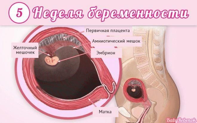 Задержка менструации после медикаментозного прерывания беременности