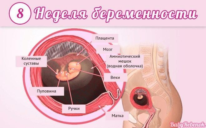 Санация влагалища перед родами. Клиника Семейный доктор