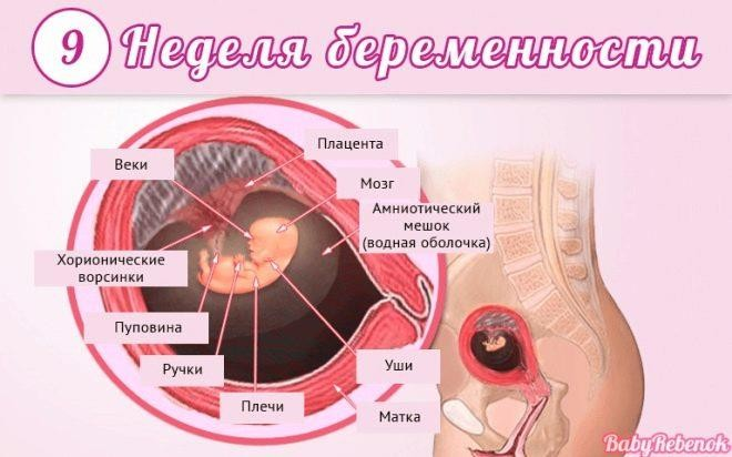 Секс во время беременности | Медицинский центр